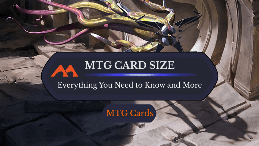 MTG Card Size/Dimensions, Weight, and Much Much More