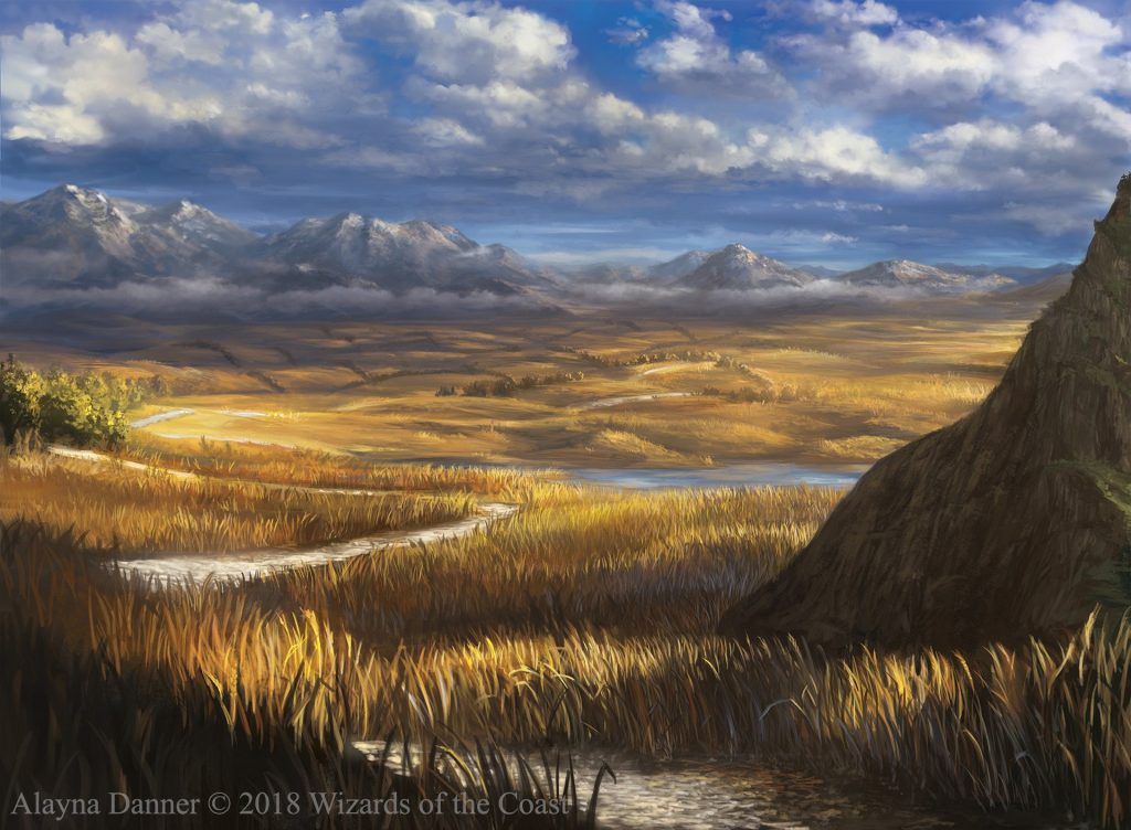C19 Plains by Alayna Danner