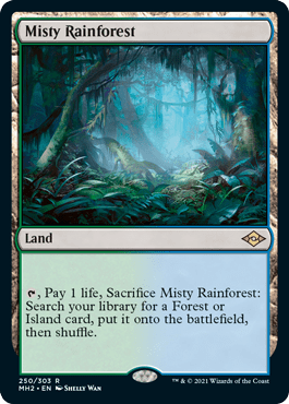 Misty Rainforest MH2
