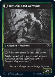 Blossom-Clad Werewolf (Double Feature)