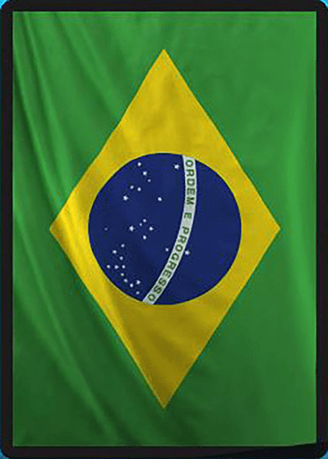 Brazil flag sleeve