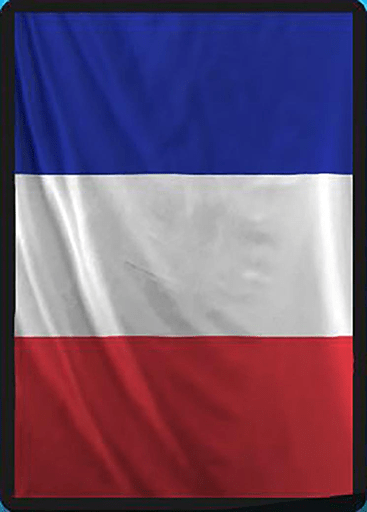 France flag sleeve