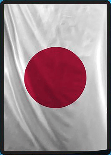 Japan flag sleeve