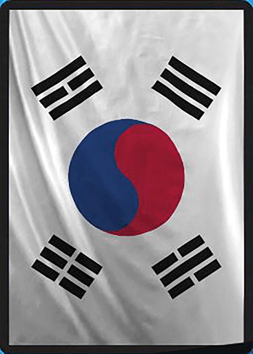 South Korea flag sleeve