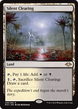 MTG Magic the Gathering Aether Revolt Mint/Unplayed 15 total Basic Lands 