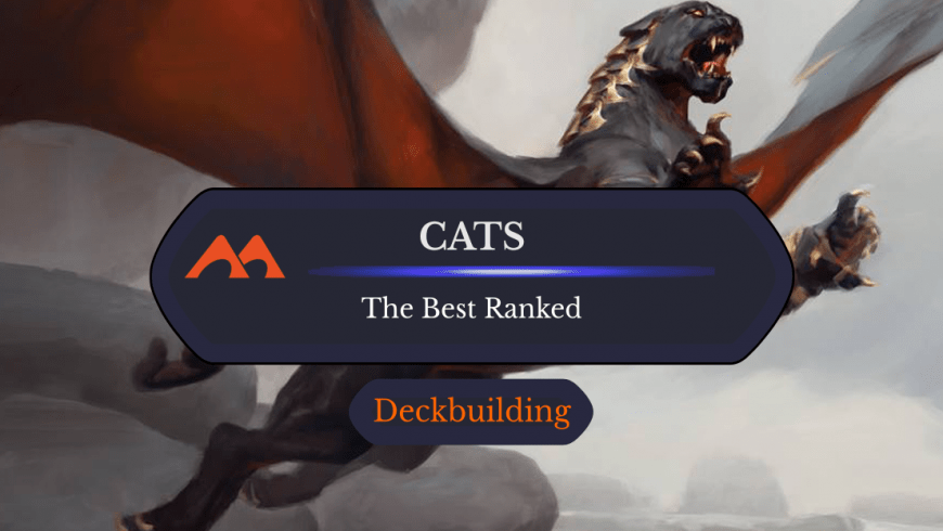 The 40 Best Cats in Magic