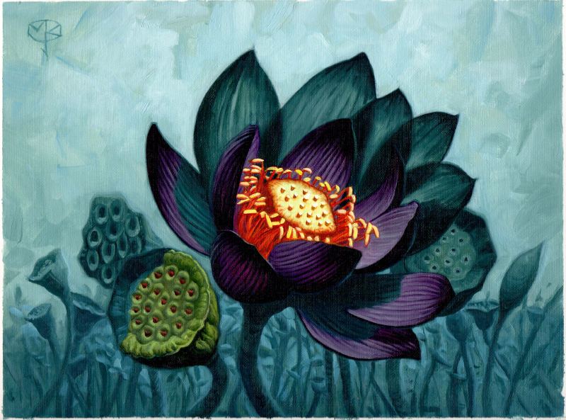 Lotus Bloom - Illustration by Mark Zug