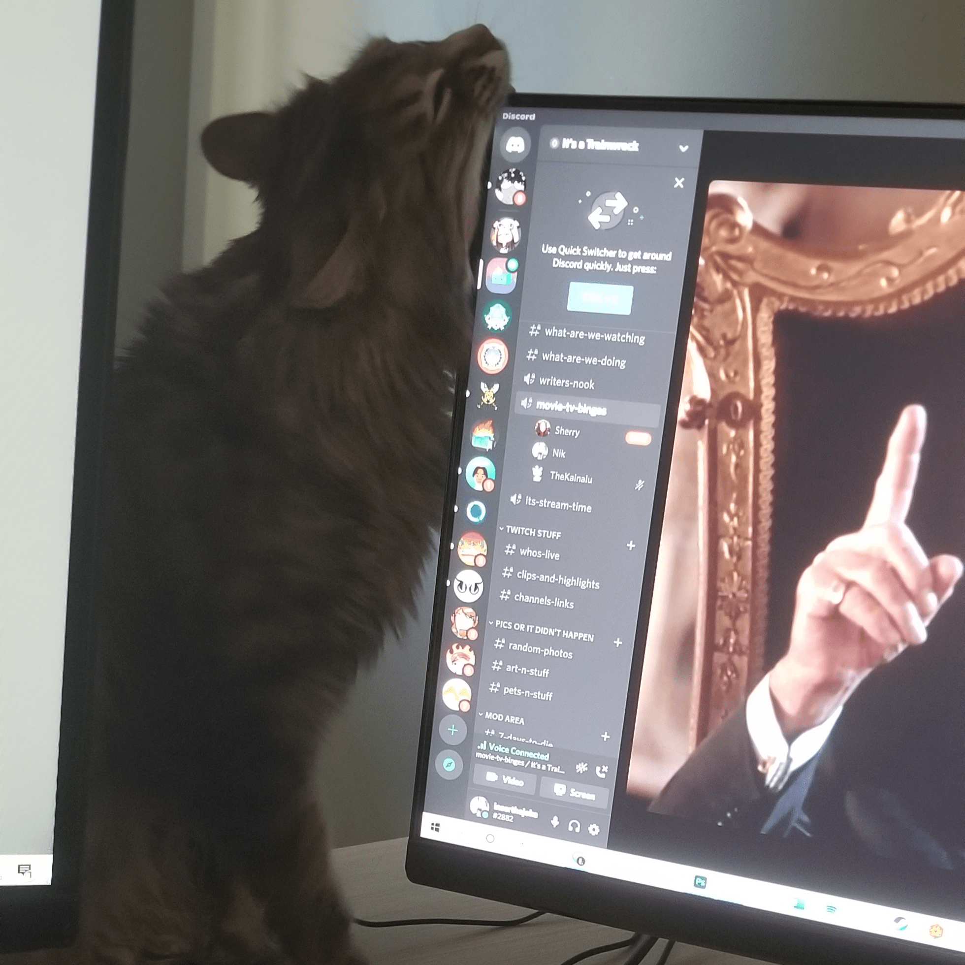 Arti the cat about to destroy a computer monitor