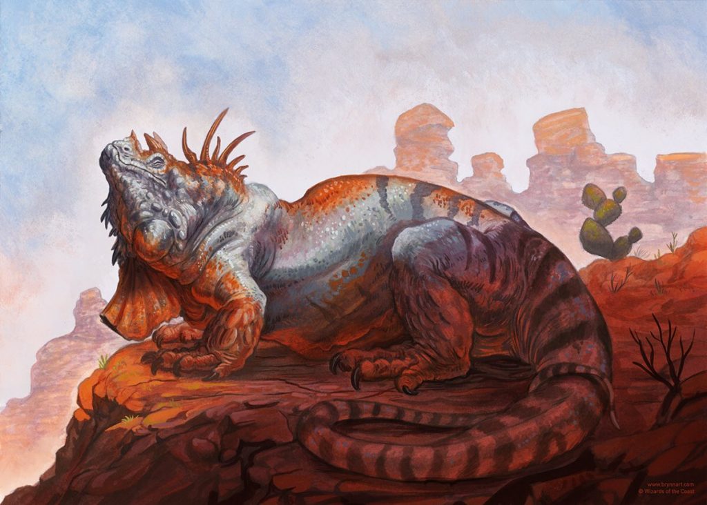 Common Iguana - Illustration by Brynn Metheney