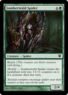 Somberwald Spider