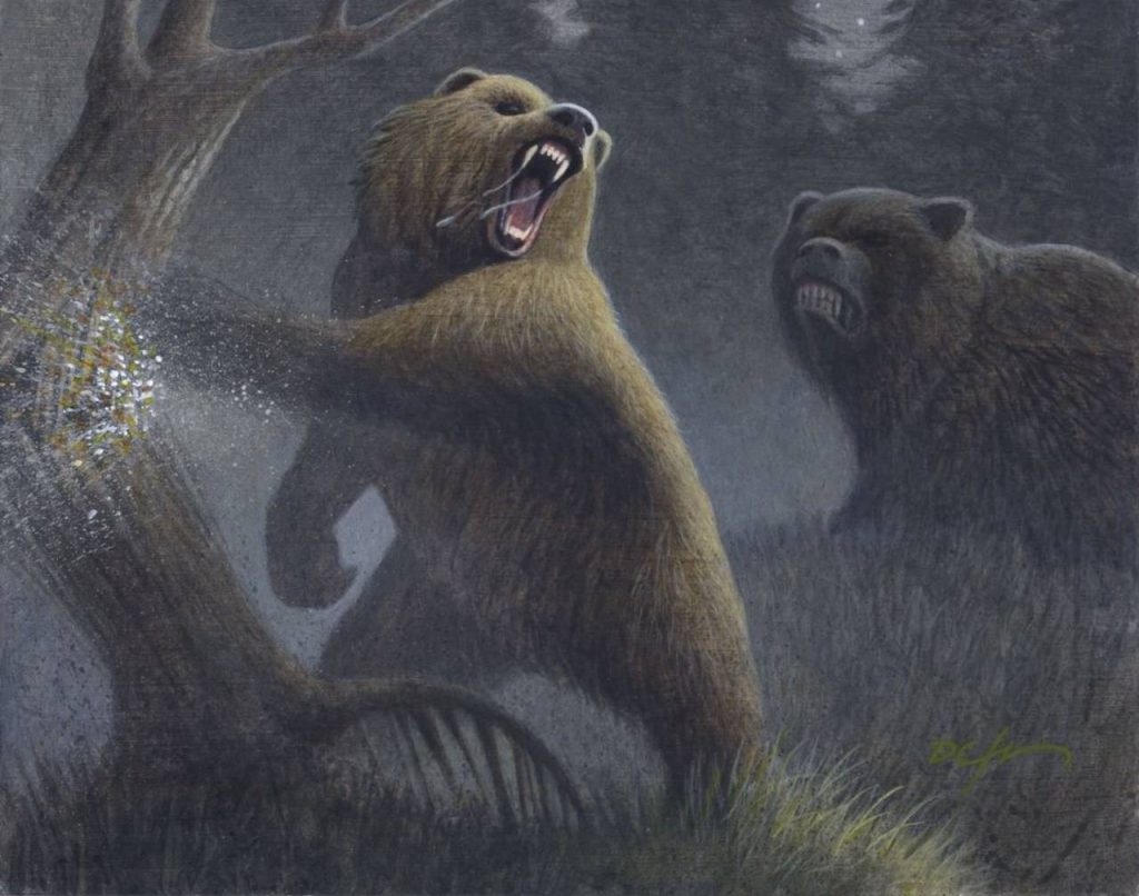 Grizzly Bears - Illustration by D. J. Cleland-Hura