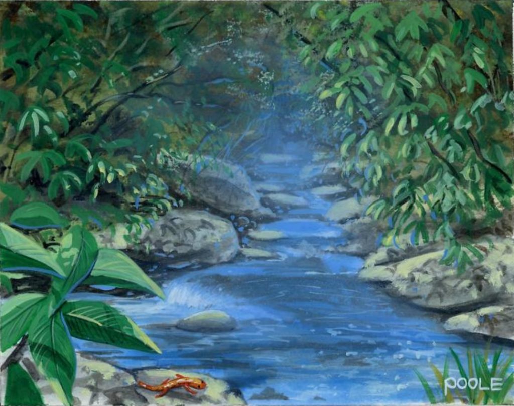 Stream of Life - Illustration by Mark Poole