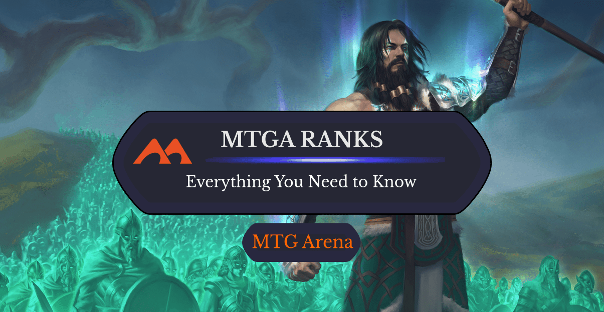 What does you arena look like?