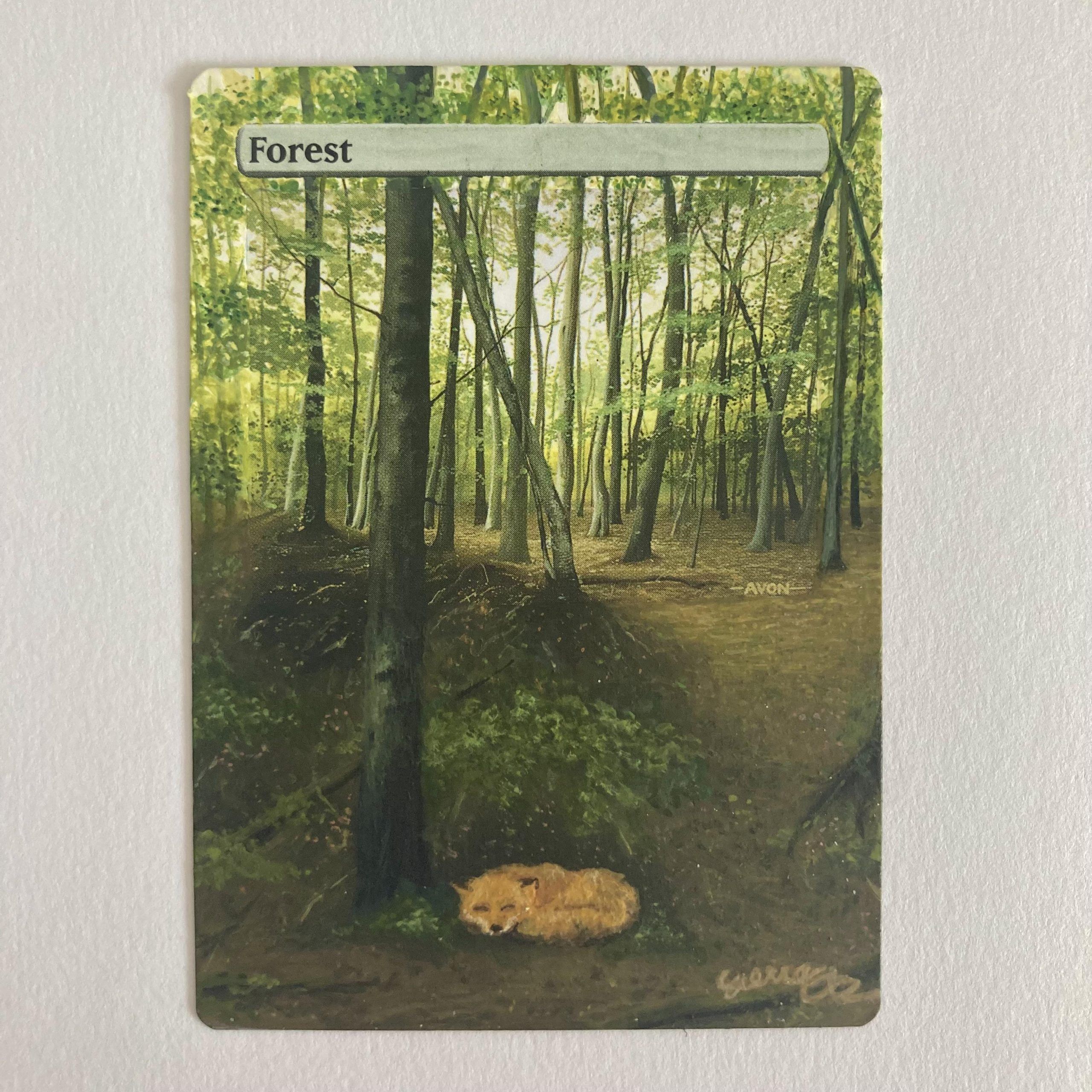 realistic MTG Forest alter by u/MisterScreamo