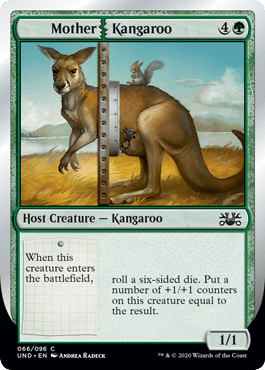 Mother | Kangaroo