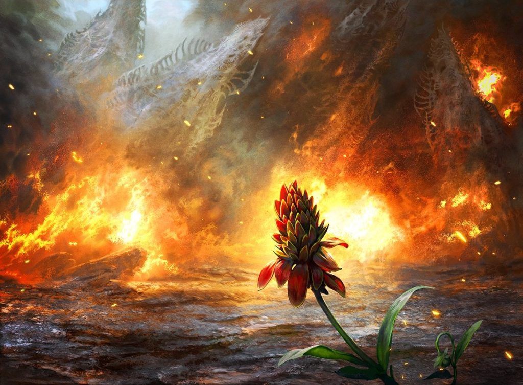Cleansing Wildfire - Illustration by Mathias Kollros