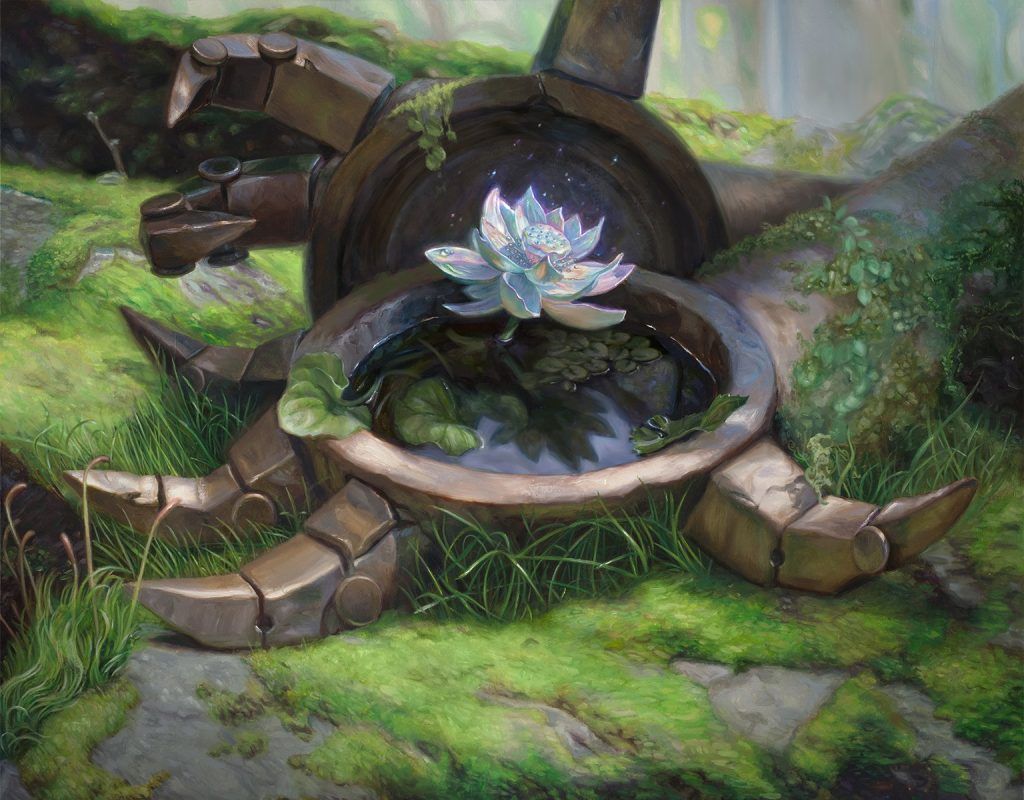 Timeless Lotus - Illustration by Lindsey Look