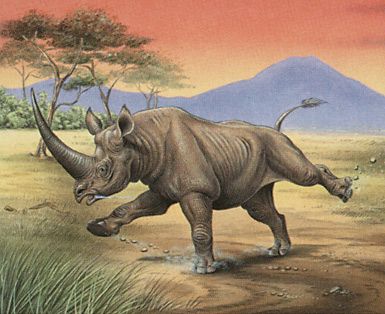 Charging Rhino | Illustration by Una Fricker