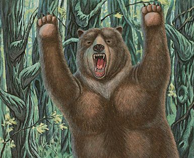 Forest Bear | Illustration by Wang Yuqun