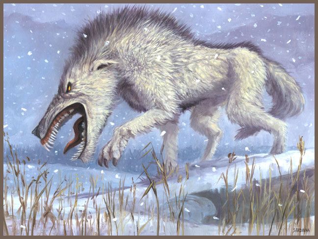 Tundra Wolves (8th Edition) - Illustration by Richard Sardinha
