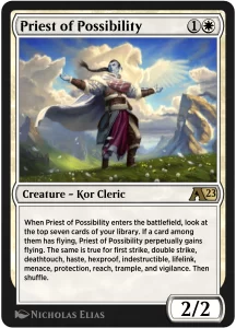 Priest of Possibility