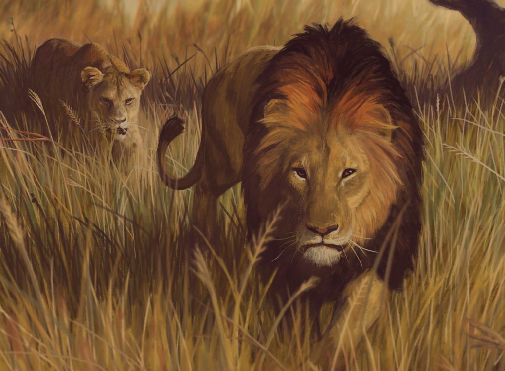 Savannah Lions (Masters 25) - Illustration by Winona Nelson