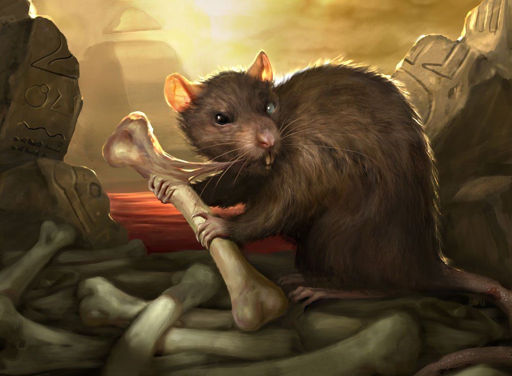 Ruin Rat - Illustration by Shreya Shetty