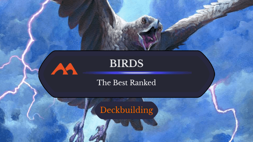 The 40 Best Birds in Magic Ranked