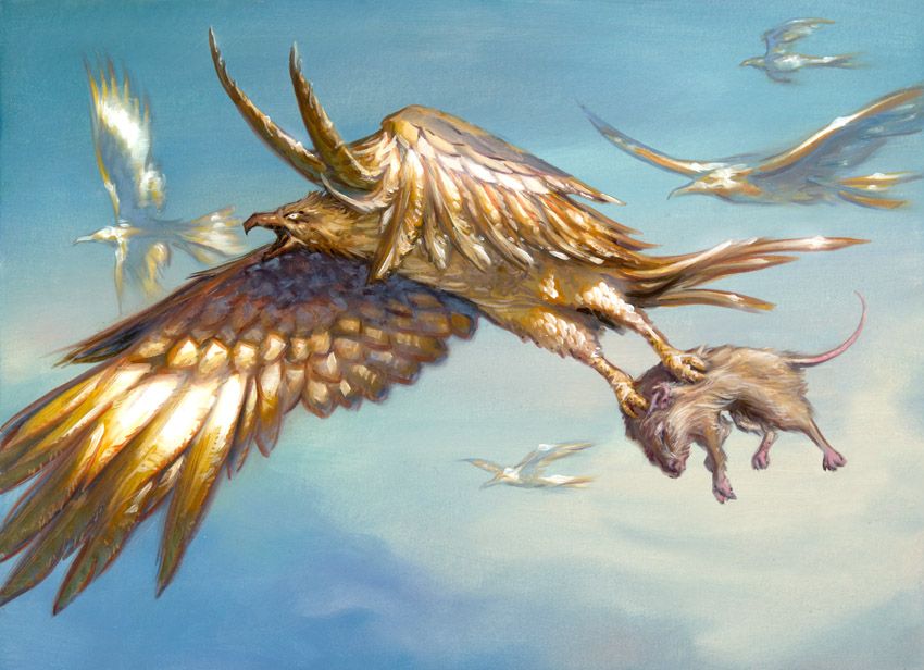 Apex Hawks - Illustration by David Palumbo