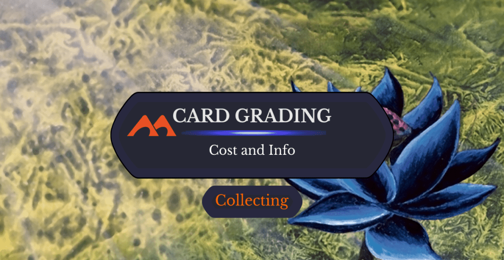 Card Grading Centering Calculator - Edge Grading