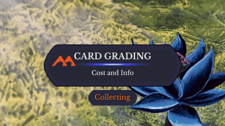 Here’s How Much it Really Costs to Get Cards Graded