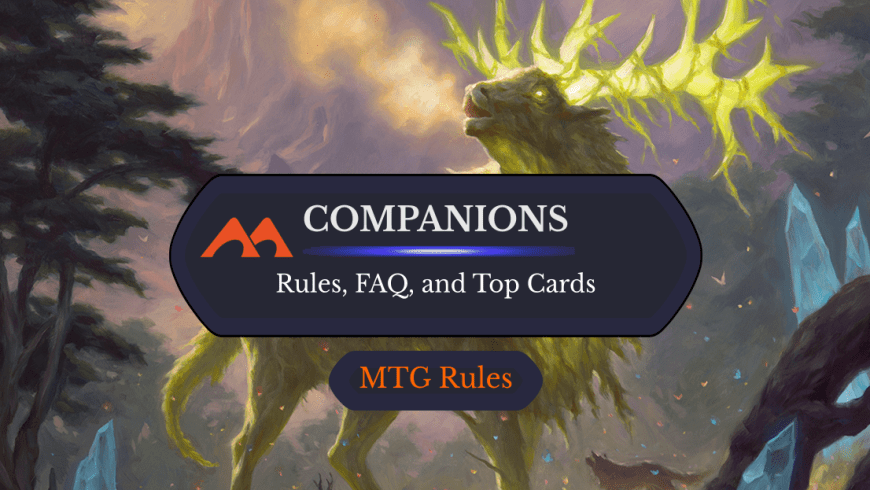 Companions in Magic: Rules and FAQ