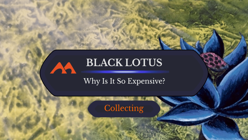 Here’s Exactly Why Magic’s Black Lotus Is So Expensive