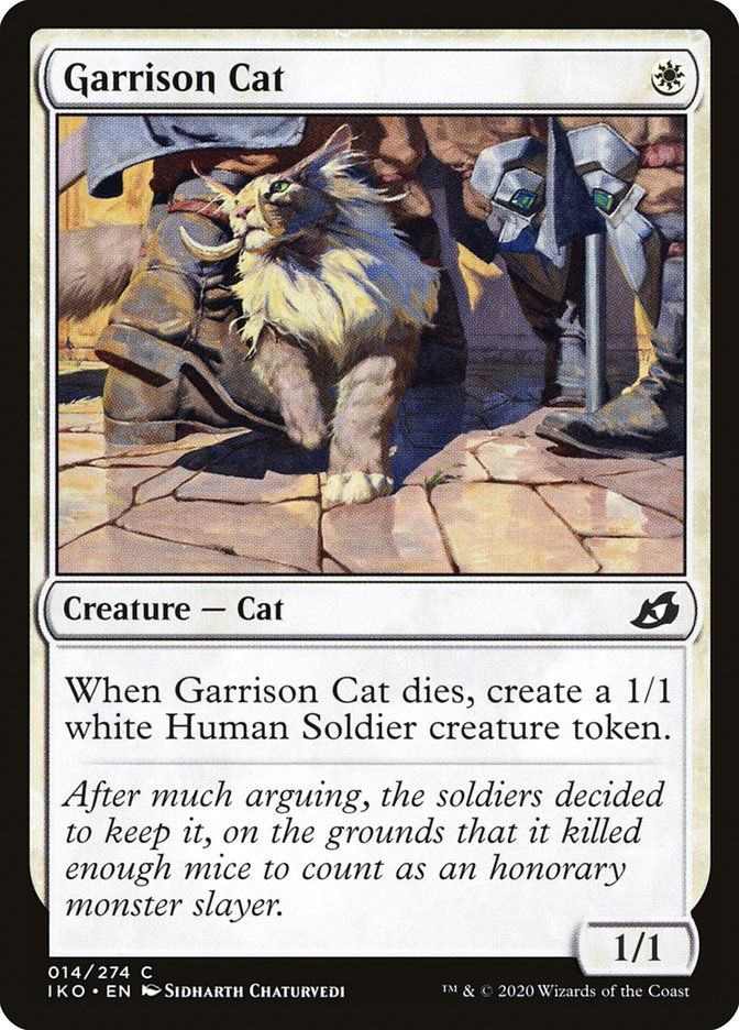 Garrison Cat