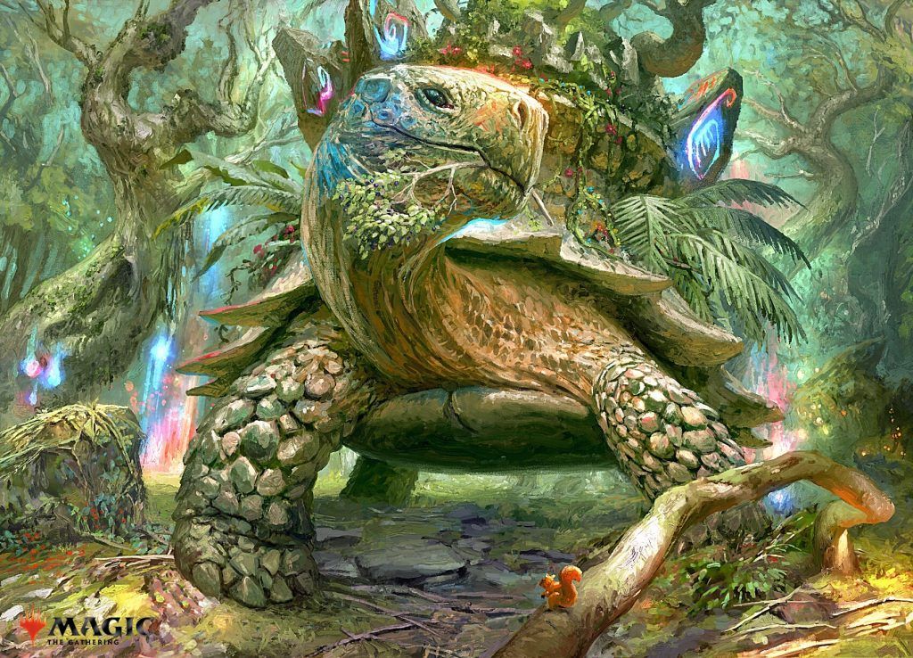 Blossoming Tortoise - Illustration by Simon Dominic