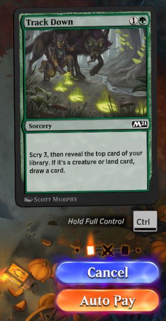 Track Down Scry Screenshot from MTG Arena