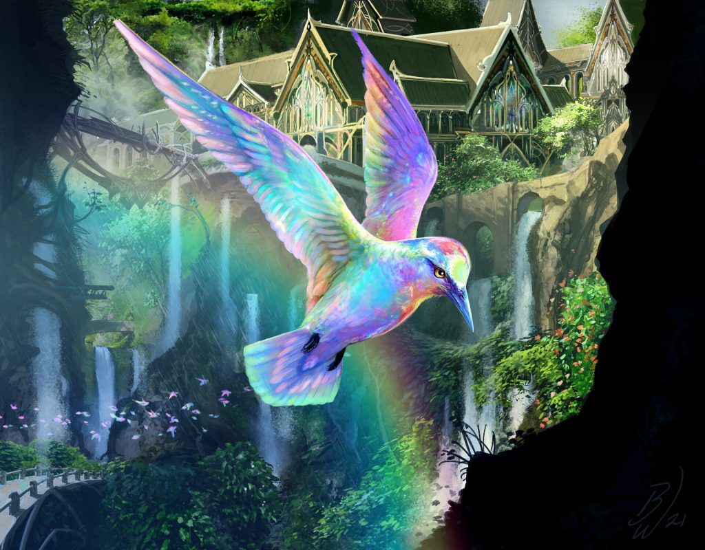 Birds of Paradise - Illustration by Ben Wootten