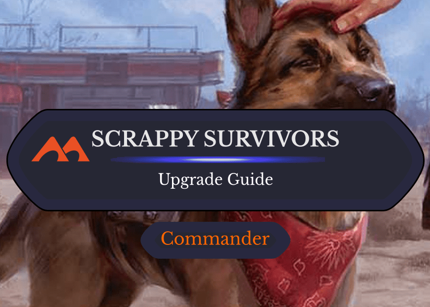 Scrappy Survivors Upgrade Guide: 22 Easy Changes You Can Make