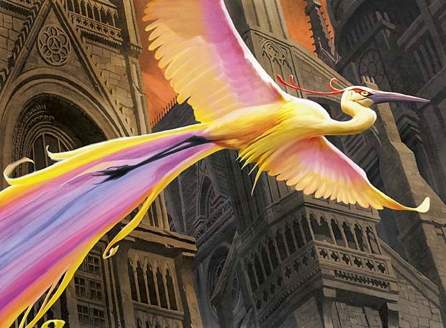 Birds of Paradise - Illustration by Marcelo Vignali