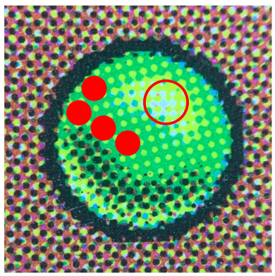 How to Use the Green Dot Test to Determine If Your MTG Cards Are Real ...