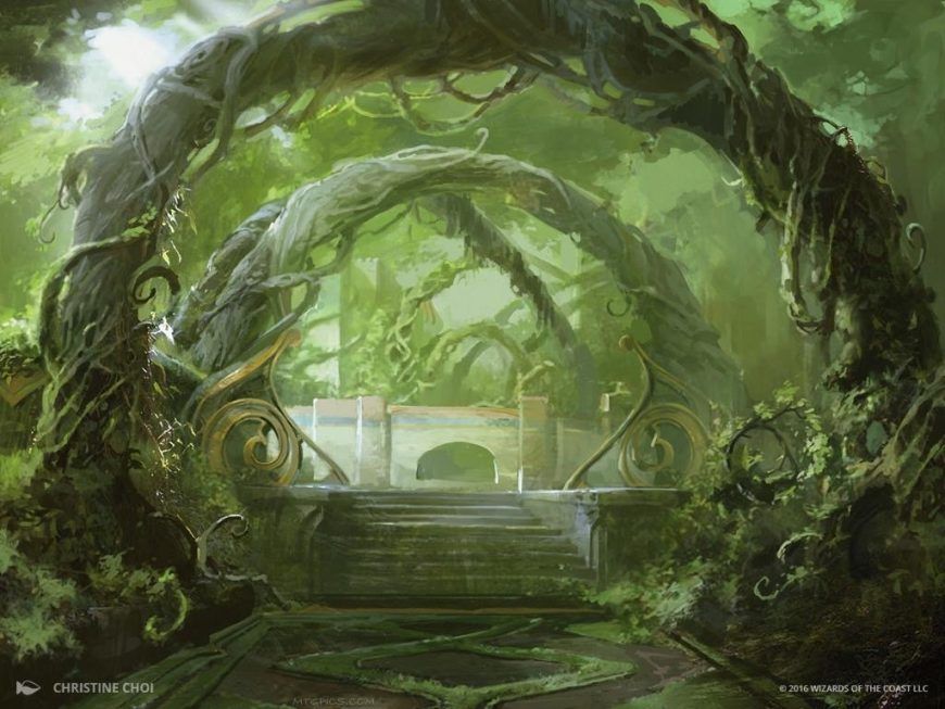 The 28 Best Forest Art in Magic Ranked - Draftsim