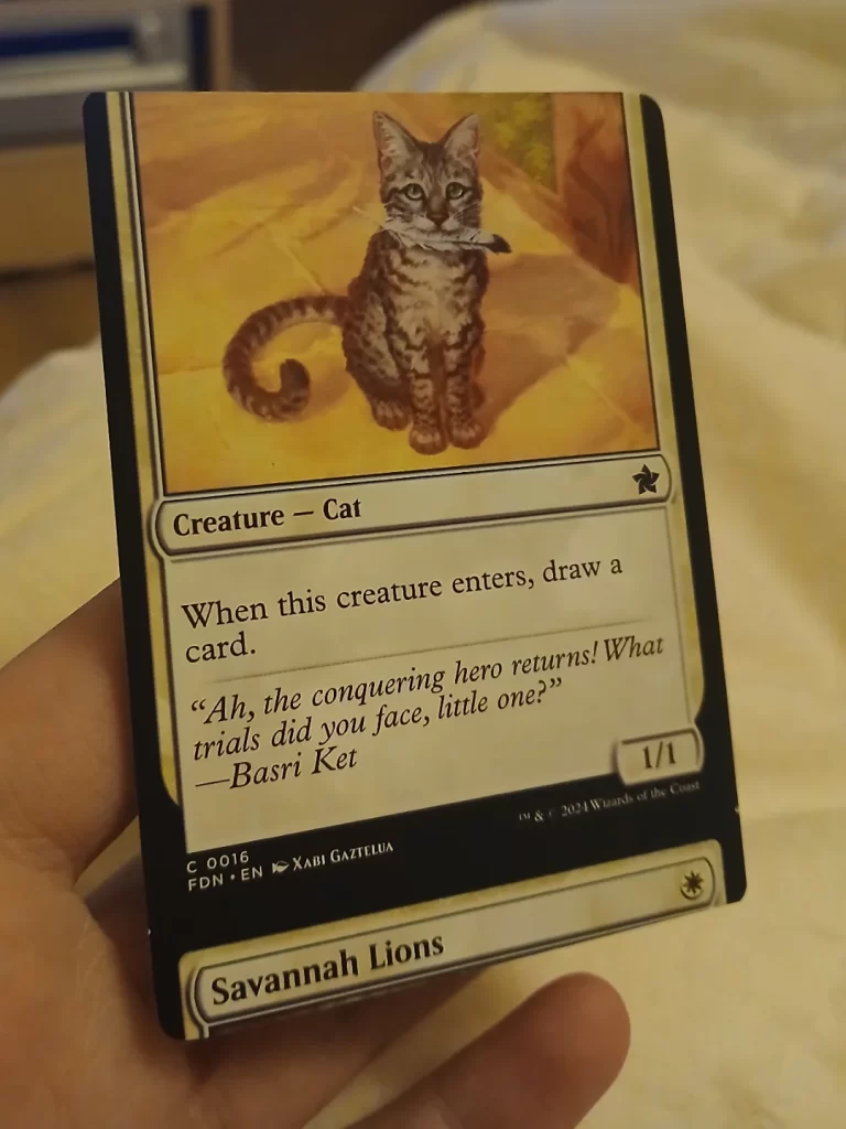 Savannah Lions misprint