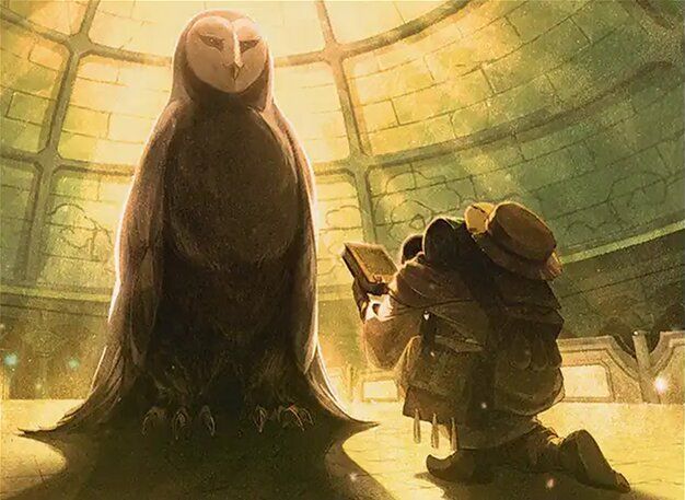 Accumulate Wisdom - Illustration by Gemi