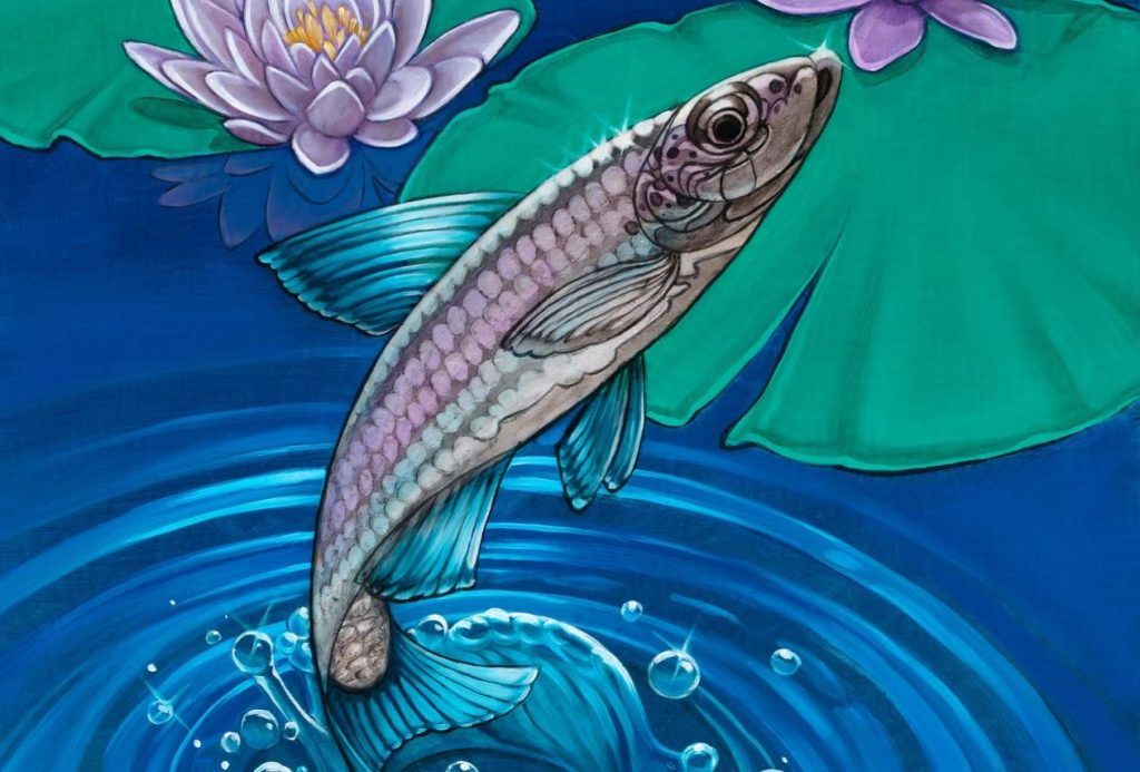 Fish - Illustration by Rhonda Libbey