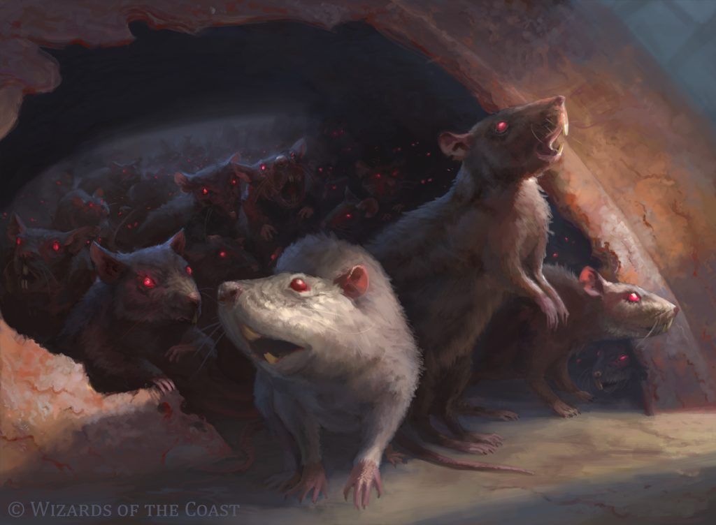 Rat Colony - Illustration by Suzanne Helmigh