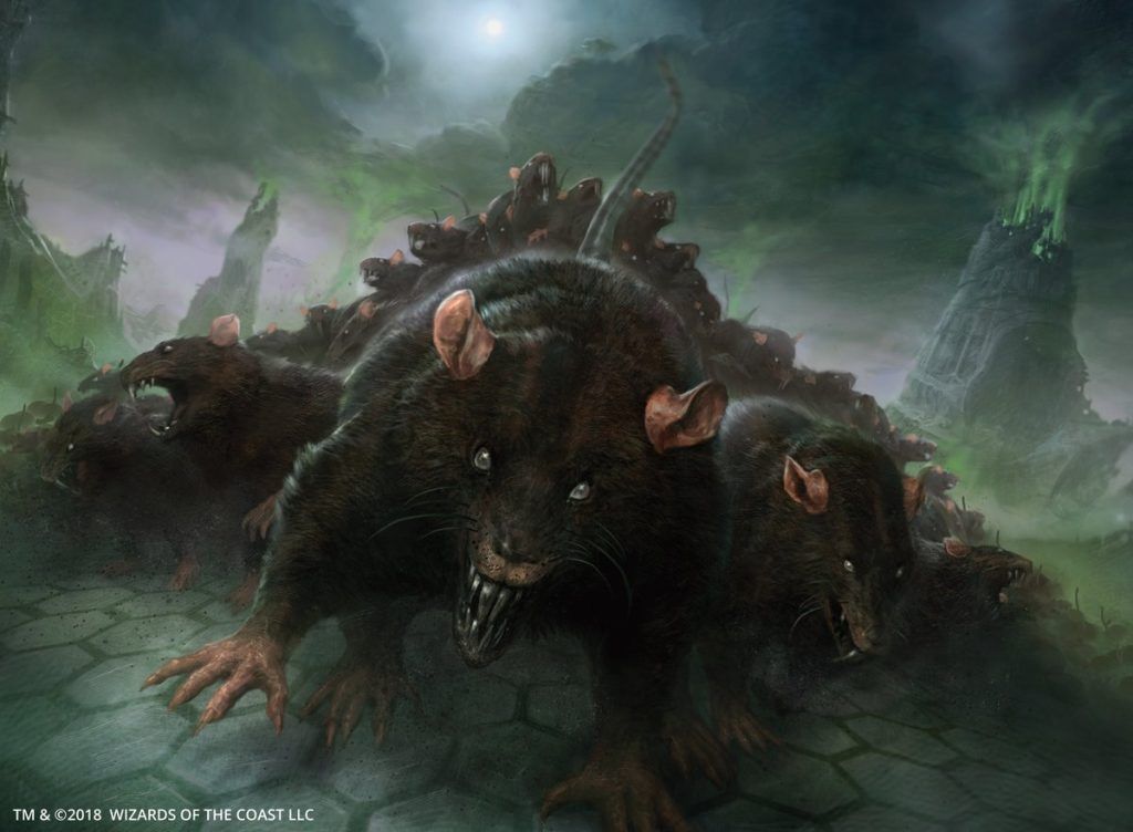 Relentless Rats - Illustration by Johann Bodin