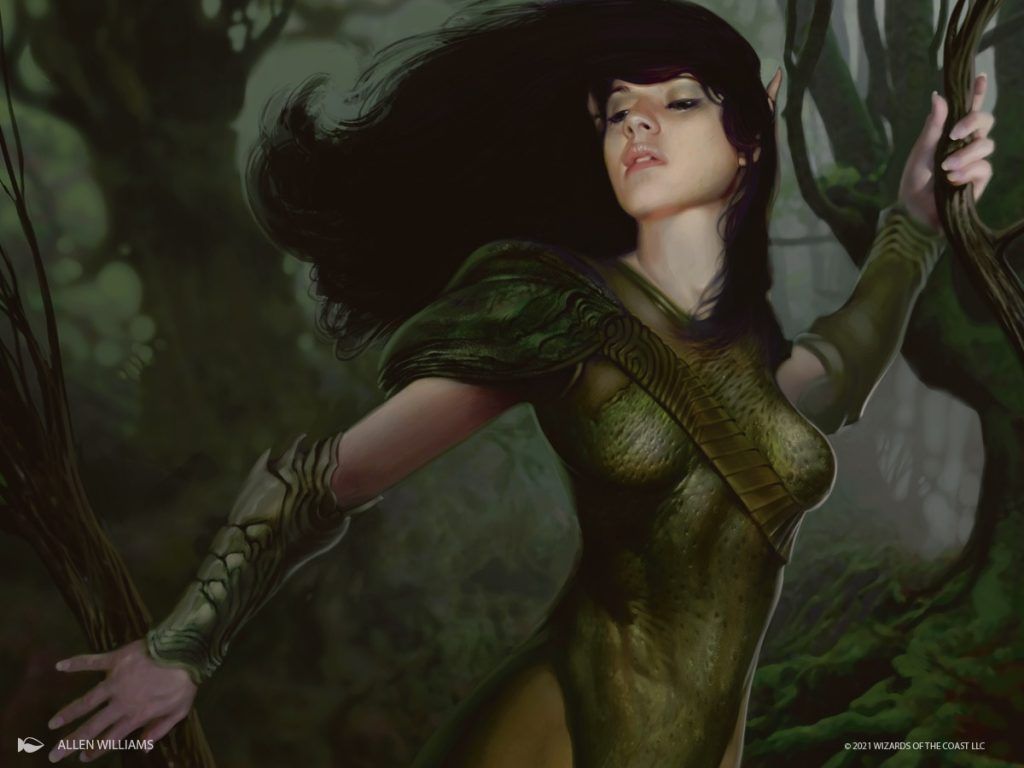 Quirion Ranger - Illustration by Allen Williams