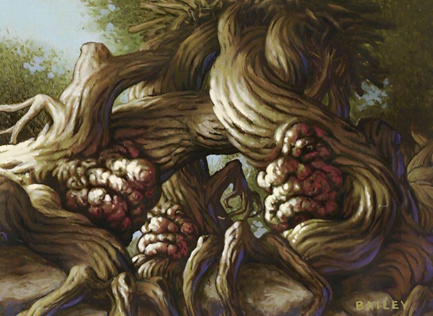 Rith's Grove - Illustration by Scott Bailey