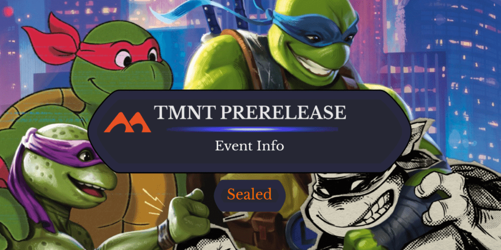 Turtles Forever - Illustration by Devin Elle Kurtz