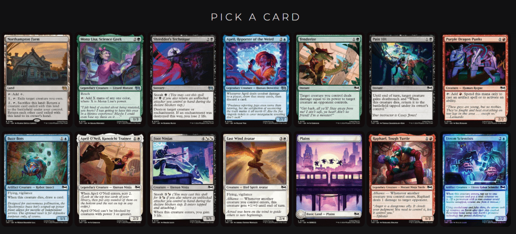 Teenage Mutant Ninja Turtles Pack